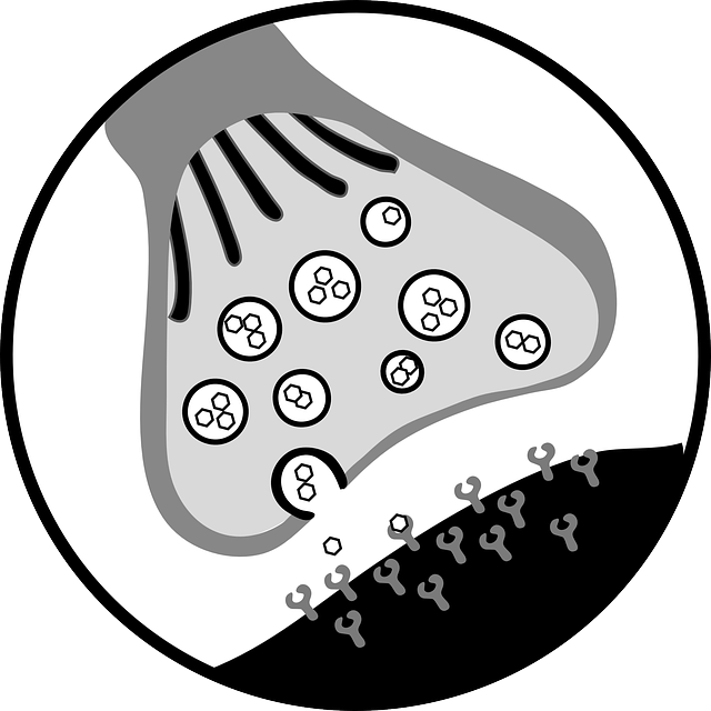 neuron receptor