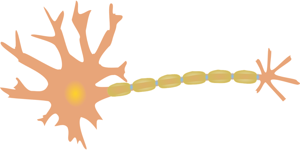 neuron1280x640