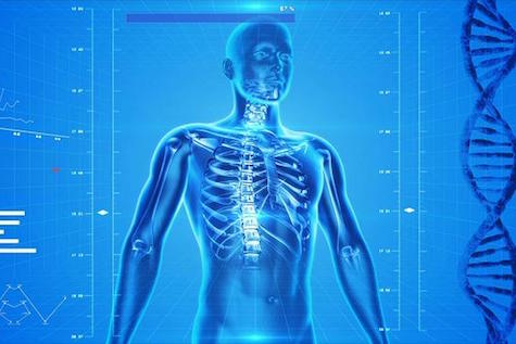Respiratory Health and Chiropractic