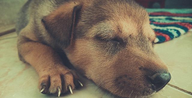 How to Become a Deep Sleeper