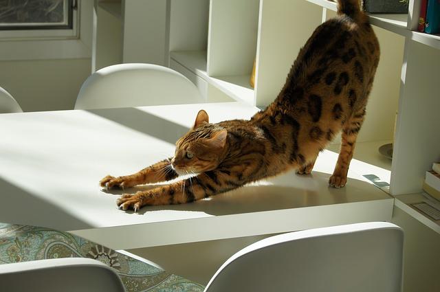 Stretch to Make Falling Asleep Easier