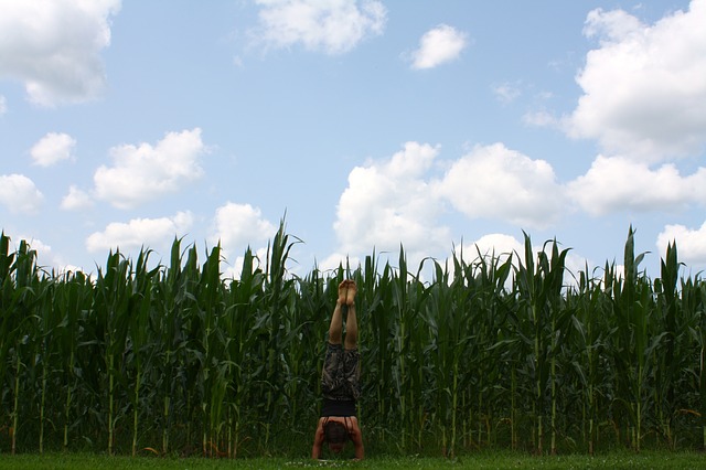 Spinal Elongation: The Therapeutic Feeling of Decompression
