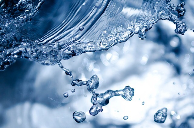 Water Gives Life: The Role of H2O in Spinal Health