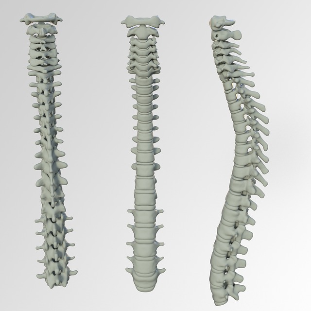 Chiropractic Biophysics